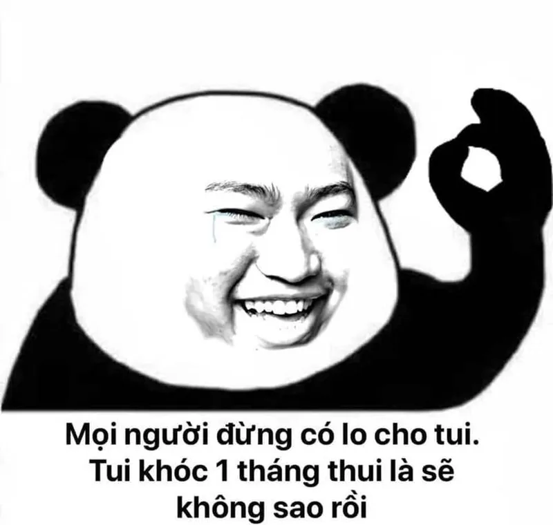 Con gấu màu hồng meme sẽ khiến bạn không thể nhịn cười Con gấu màu hồng meme sẽ khiến bạn không thể nhịn cười
