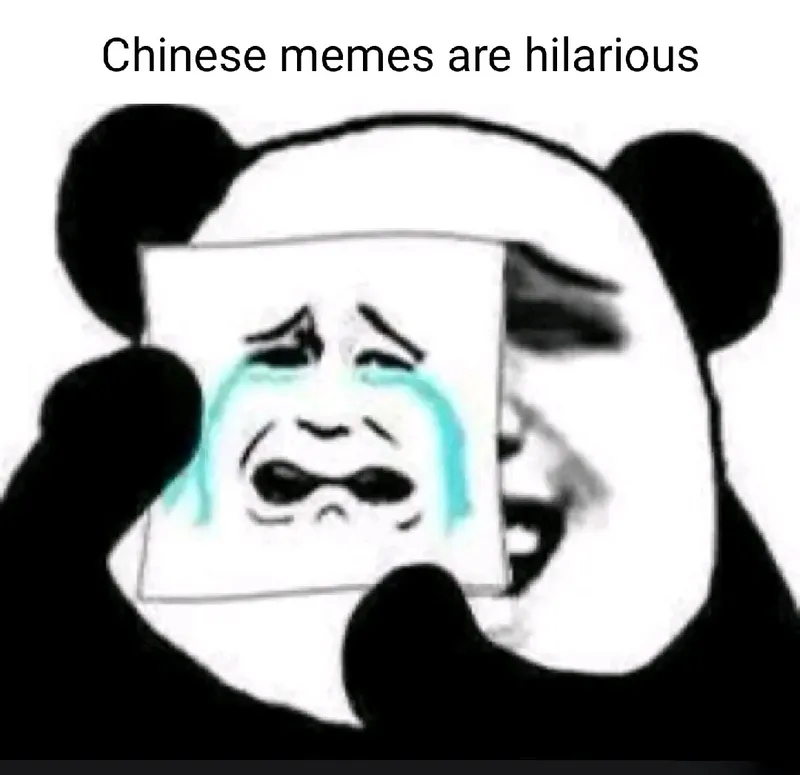 Ảnh gấu trúc meme hài hước cho những ai yêu thích meme Ảnh gấu trúc meme hài hước cho những ai yêu thích meme