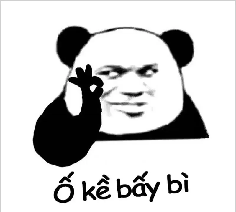Gấu trúc meme mắt thâm châm biếm nhưng rất thú vị Gấu trúc meme mắt thâm châm biếm nhưng rất thú vị