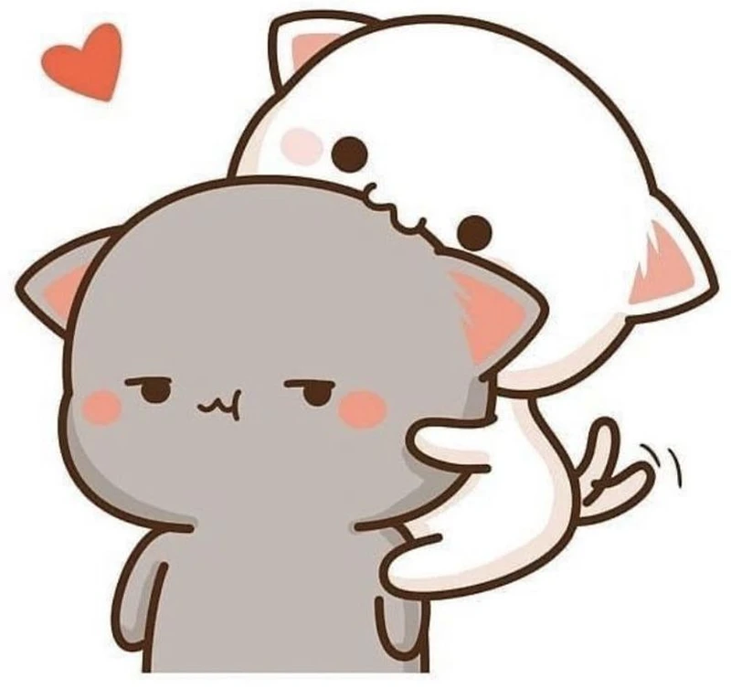 Meme chôn thú vị, tạo tiếng cười sảng khoái cho mọi người Meme chôn thú vị, tạo tiếng cười sảng khoái cho mọi người