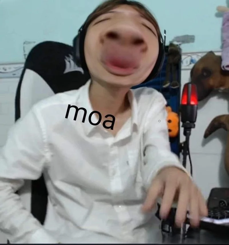 Meme chu mỏ hôn dễ thương, cực kỳ hài hước Meme chu mỏ hôn dễ thương, cực kỳ hài hước