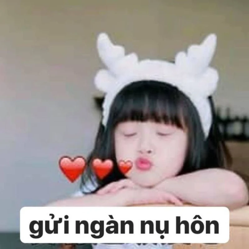 Đơn kết hôn meme vui nhộn, mang đến những phút giây hài hước Đơn kết hôn meme vui nhộn, mang đến những phút giây hài hước