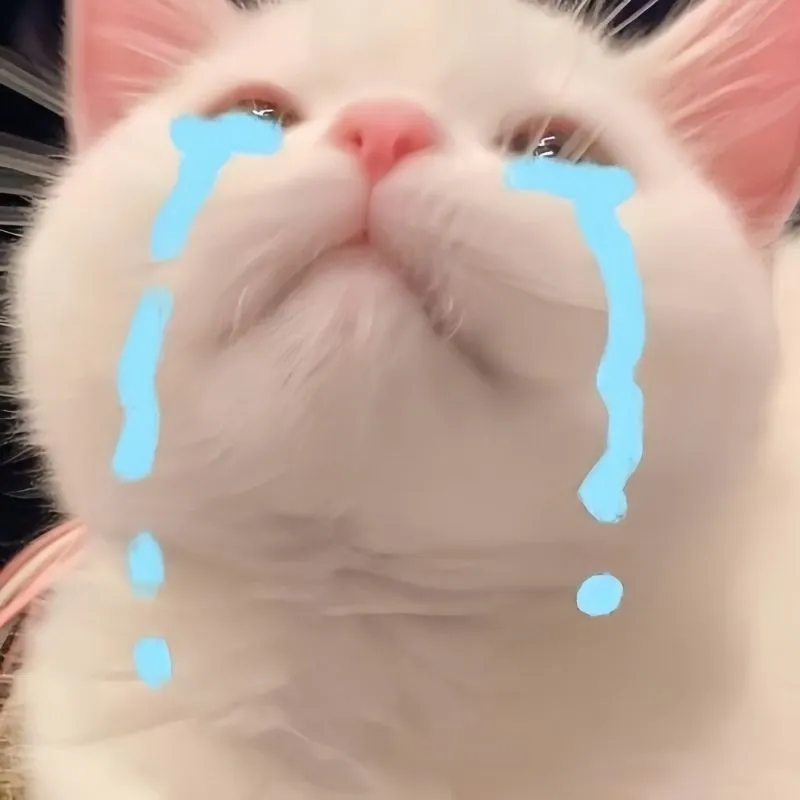 Meme xin lỗi được chưa giúp bạn làm lành ngay lập tức với người thân yêu Meme xin lỗi được chưa giúp bạn làm lành ngay lập tức với người thân yêu