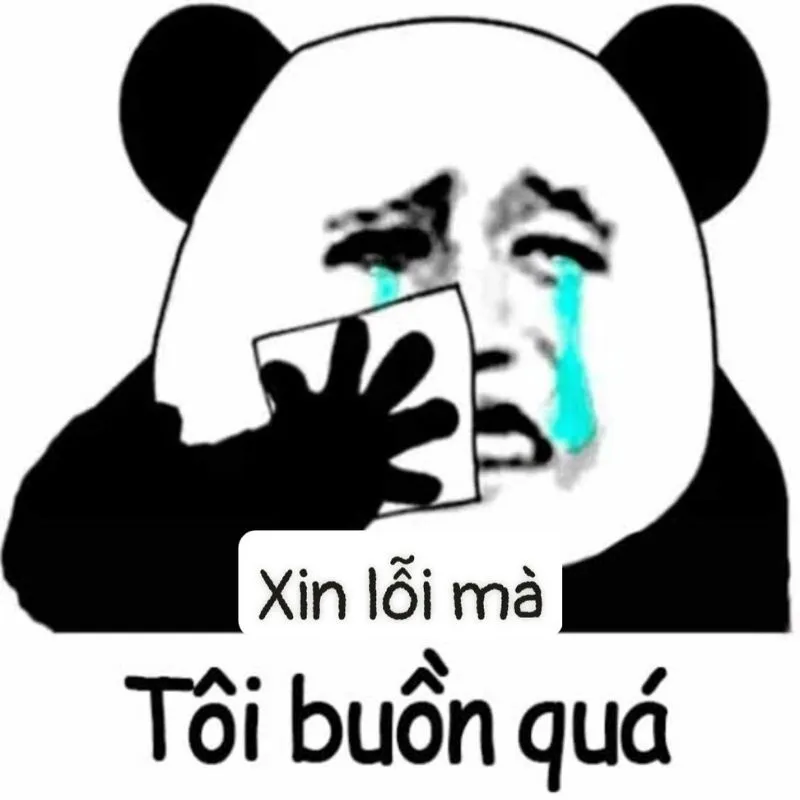 Meme mèo xin lỗi người yêu chắc chắn sẽ làm người ấy không thể giận lâu Meme mèo xin lỗi người yêu chắc chắn sẽ làm người ấy không thể giận lâu