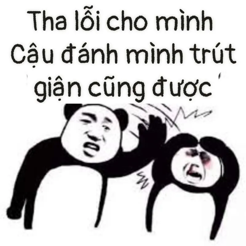 Xin lỗi người yêu meme dễ thương sẽ khiến đối phương cảm thấy ấm lòng Xin lỗi người yêu meme dễ thương sẽ khiến đối phương cảm thấy ấm lòng