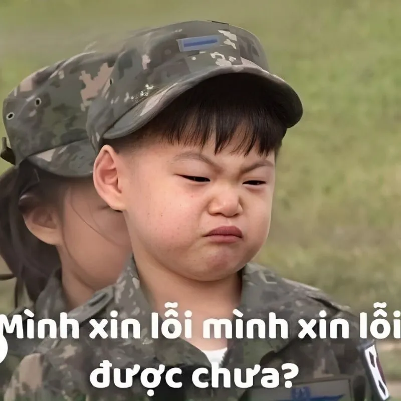 Meme mèo cute xin lỗi là lựa chọn tuyệt vời để xin lỗi người yêu một cách dễ thương Meme mèo cute xin lỗi là lựa chọn tuyệt vời để xin lỗi người yêu một cách dễ thương