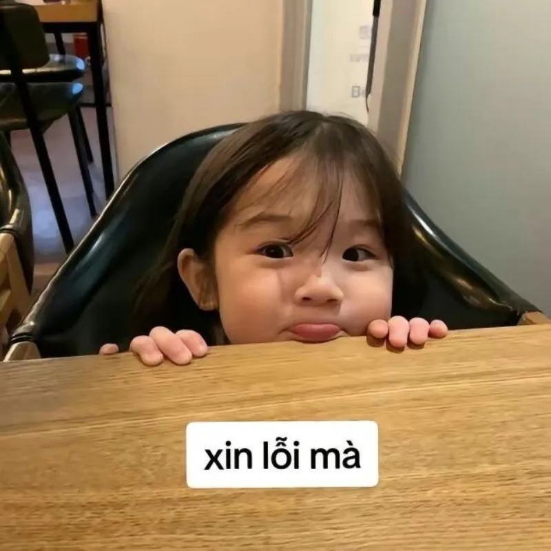 Bựa cute meme mèo xin lỗi khiến đối phương vừa cười vừa dễ dàng tha thứ Bựa cute meme mèo xin lỗi khiến đối phương vừa cười vừa dễ dàng tha thứ