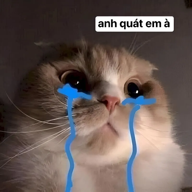 Văn mẫu đơn xin lỗi meme đơn giản nhưng hiệu quả trong việc làm lành mọi mối quan hệ Văn mẫu đơn xin lỗi meme đơn giản nhưng hiệu quả trong việc làm lành mọi mối quan hệ