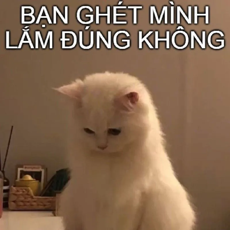 Meme em bé xin lỗi dễ thương sẽ khiến đối phương không thể giận lâu Meme em bé xin lỗi dễ thương sẽ khiến đối phương không thể giận lâu