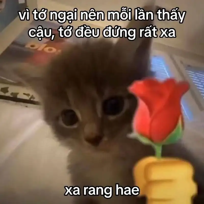 I love my school meme thể hiện tình yêu với mái trường thân yêu I love my school meme thể hiện tình yêu với mái trường thân yêu