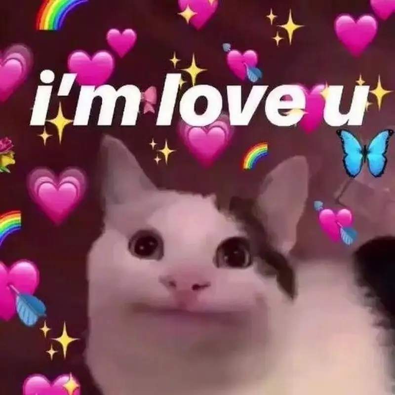 My beloved meme thể hiện tình cảm chân thành và ngọt ngào My beloved meme thể hiện tình cảm chân thành và ngọt ngào