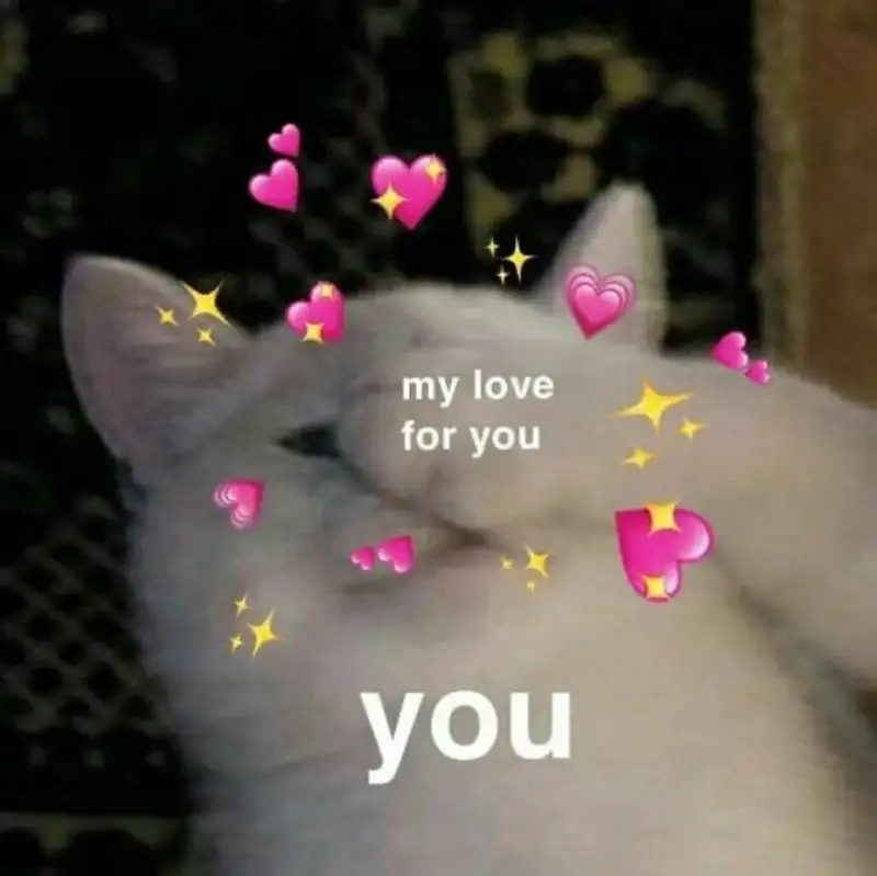 My love for you meme là cách thể hiện tình cảm ngọt ngào My love for you meme là cách thể hiện tình cảm ngọt ngào