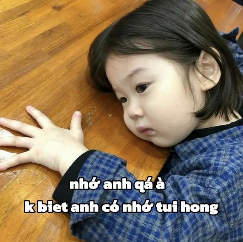 We love we live we lie meme thể hiện những khía cạnh phức tạp của tình yêu We love we live we lie meme thể hiện những khía cạnh phức tạp của tình yêu