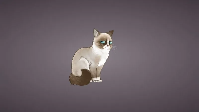 Hình nền zalo meme giúp bạn thể hiện cá tính riêng Hình nền zalo meme giúp bạn thể hiện cá tính riêng