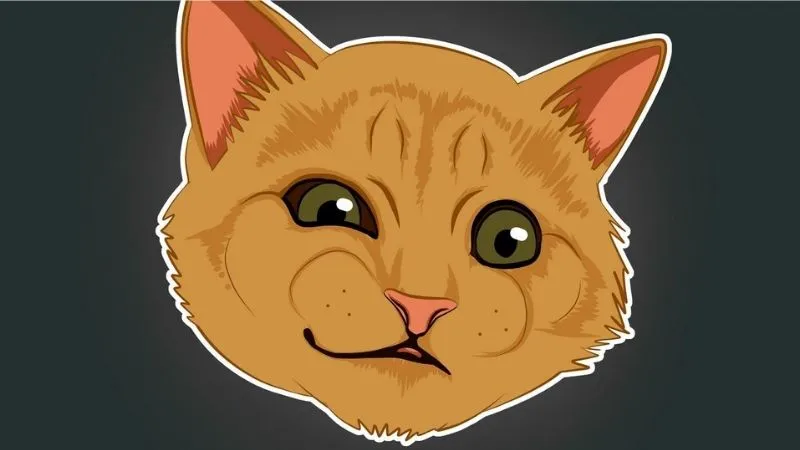 Hình nền con mèo meme giúp bạn thư giãn mỗi khi nhìn vào Hình nền con mèo meme giúp bạn thư giãn mỗi khi nhìn vào