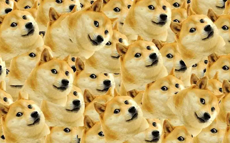 Hình nền đt meme dễ thương cho những ai yêu thích Hình nền đt meme dễ thương cho những ai yêu thích