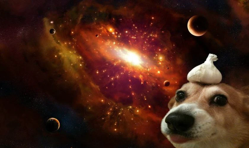 Ảnh hình nền máy tính meme giúp bạn thư giãn Ảnh hình nền máy tính meme giúp bạn thư giãn