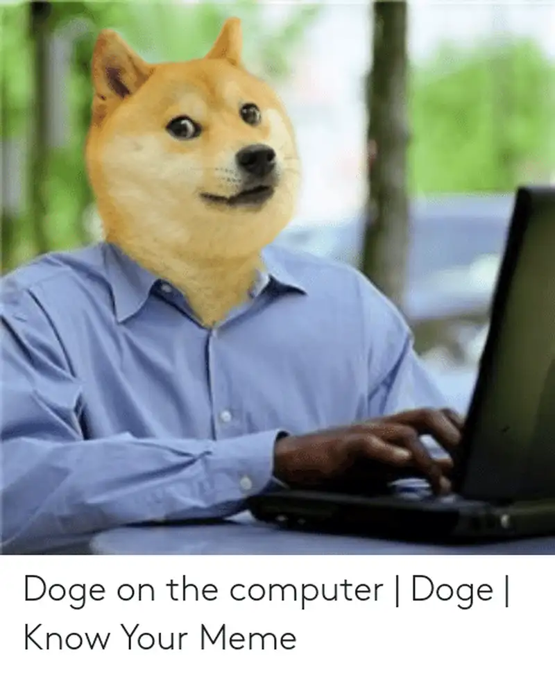 Hình chó shiba meme ngộ nghĩnh là lựa chọn lý tưởng để chia sẻ Hình chó shiba meme ngộ nghĩnh là lựa chọn lý tưởng để chia sẻ