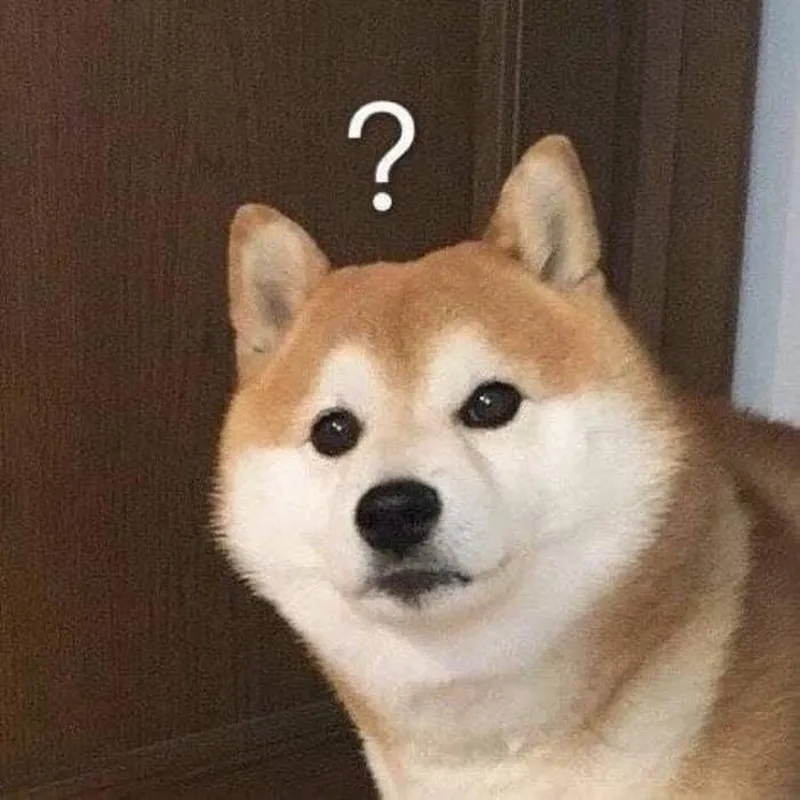 Meme chó shiba cầm gậy gây cười với hành động mạnh mẽ và vui nhộn Meme chó shiba cầm gậy gây cười với hành động mạnh mẽ và vui nhộn