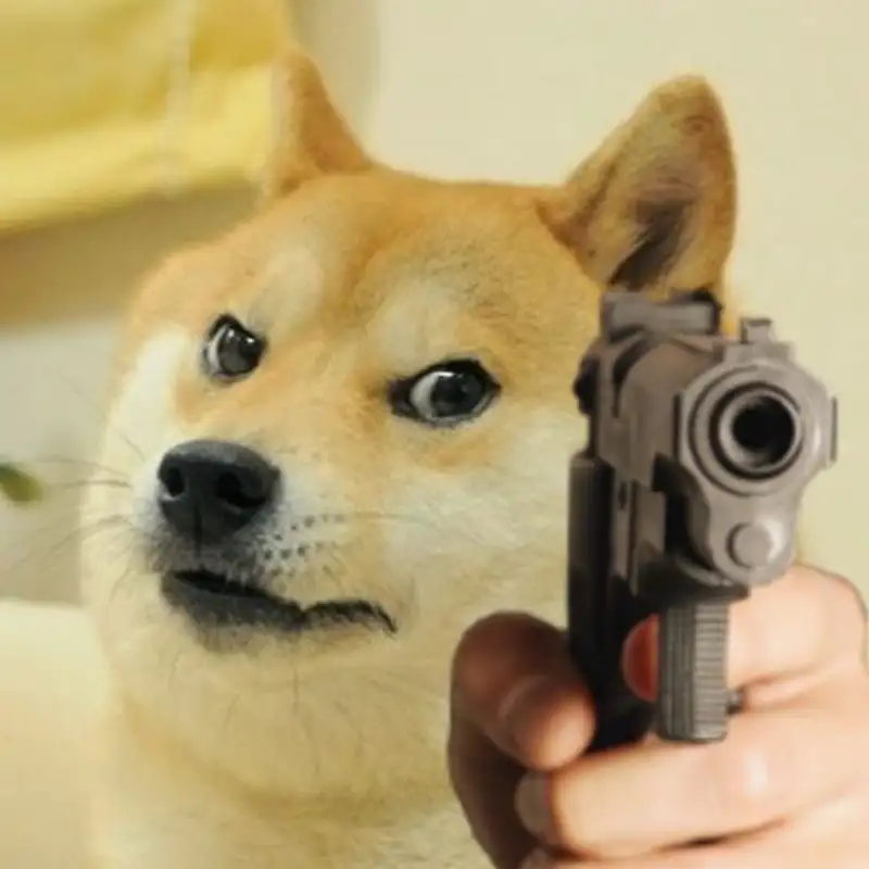 Meme chó shiba cười luôn thu hút người xem với sự đáng yêu Meme chó shiba cười luôn thu hút người xem với sự đáng yêu
