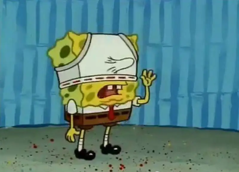 Meme mèo đội quần dễ thương khiến bạn không thể rời mắt Meme mèo đội quần dễ thương khiến bạn không thể rời mắt