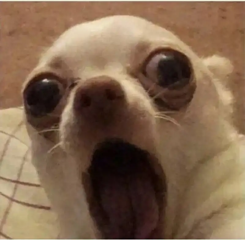 Anh da đen bất ngờ meme khiến bạn không thể nhịn cười Anh da đen bất ngờ meme khiến bạn không thể nhịn cười