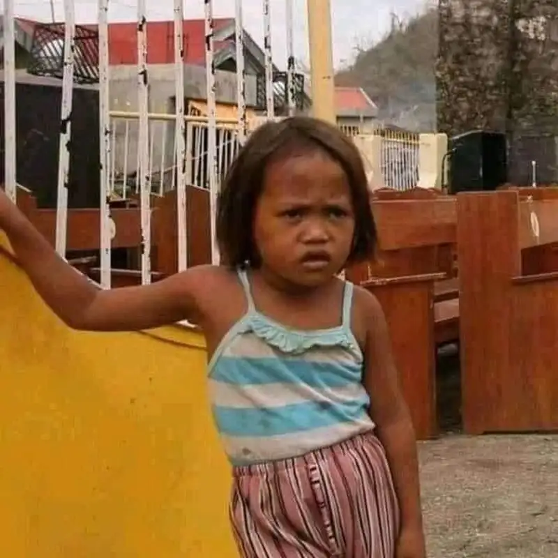 Meme mèo ngạc nhiên dễ thương cho những ai yêu thích mèo Meme mèo ngạc nhiên dễ thương cho những ai yêu thích mèo