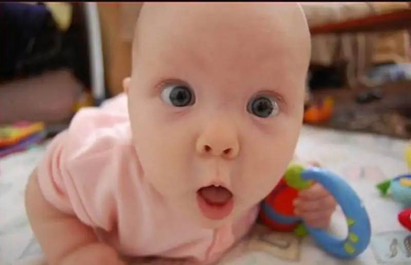 Mèo bất ngờ meme mang lại tiếng cười cho mọi người Mèo bất ngờ meme mang lại tiếng cười cho mọi người
