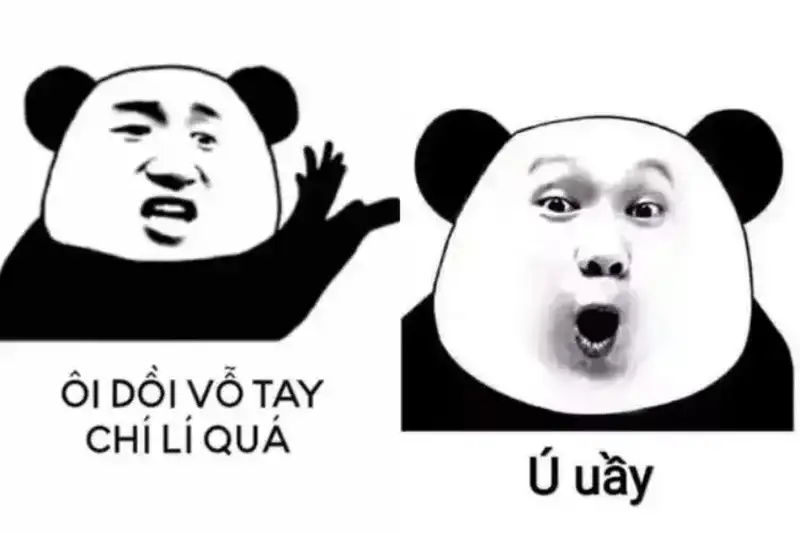 Ảnh ngạc nhiên meme giúp bạn thư giãn và cười thoải mái Ảnh ngạc nhiên meme giúp bạn thư giãn và cười thoải mái