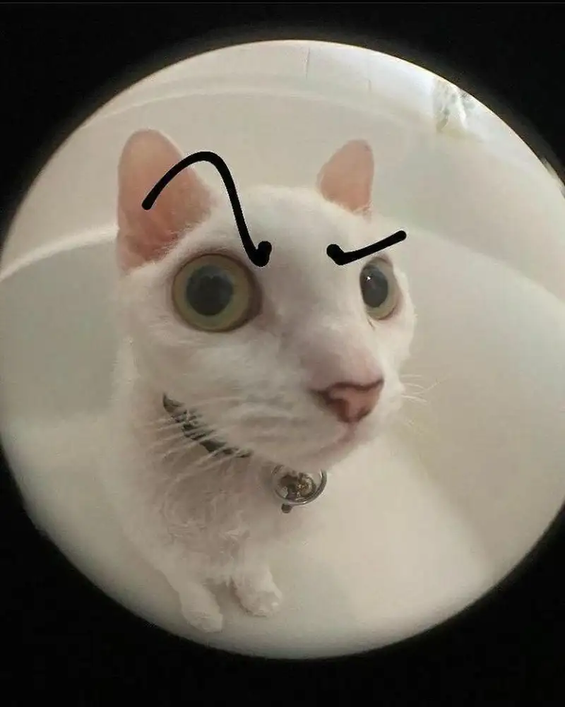 Mặt ngạc nhiên meme giúp bạn thể hiện cảm xúc hài hước Mặt ngạc nhiên meme giúp bạn thể hiện cảm xúc hài hước