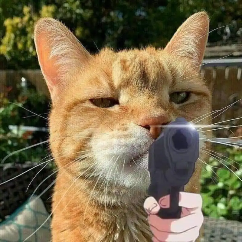Meme bất ngờ chưa bà già mang lại tiếng cười cho mọi người Meme bất ngờ chưa bà già mang lại tiếng cười cho mọi người