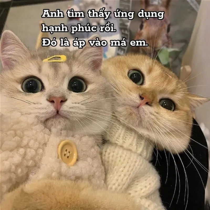 Cùng chia sẻ ảnh meme tình yêu cute này với người bạn yêu thương ngay nhé Cùng chia sẻ ảnh meme tình yêu cute này với người bạn yêu thương ngay nhé
