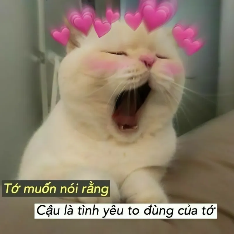 Meme yêu anh này sẽ khiến bạn mỉm cười mỗi khi nghĩ về người ấy Meme yêu anh này sẽ khiến bạn mỉm cười mỗi khi nghĩ về người ấy