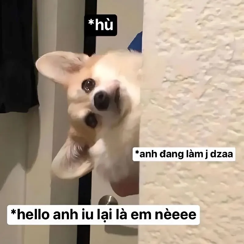 Meme yêu cậu dễ thương này chắc chắn sẽ làm bạn thổn thức Meme yêu cậu dễ thương này chắc chắn sẽ làm bạn thổn thức