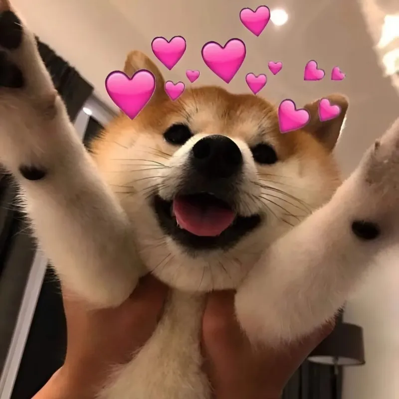 Cùng gửi đến người ấy meme mãi yêu này để thể hiện tình cảm thật ngọt ngào Cùng gửi đến người ấy meme mãi yêu này để thể hiện tình cảm thật ngọt ngào