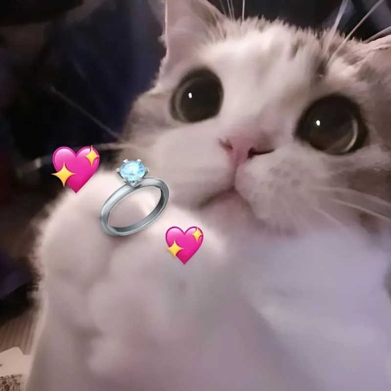 Cùng khám phá tình yêu to lớn meme, đong đầy cảm xúc và tình cảm Cùng khám phá tình yêu to lớn meme, đong đầy cảm xúc và tình cảm