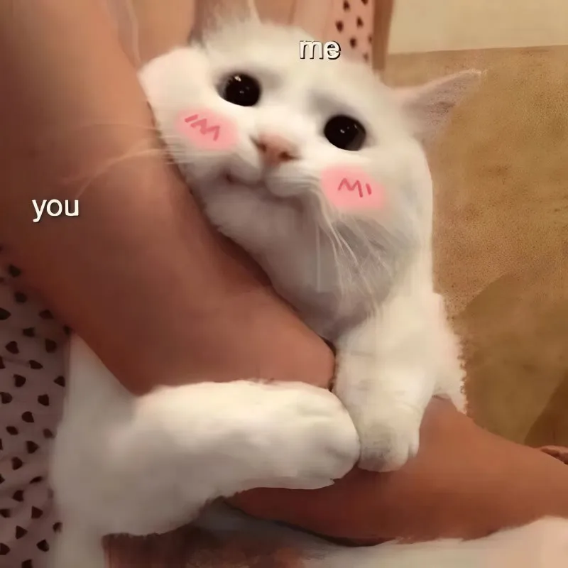 Meme về tình yêu này sẽ khiến bạn cảm thấy ngọt ngào và lãng mạn hơn bao giờ hết Meme về tình yêu này sẽ khiến bạn cảm thấy ngọt ngào và lãng mạn hơn bao giờ hết