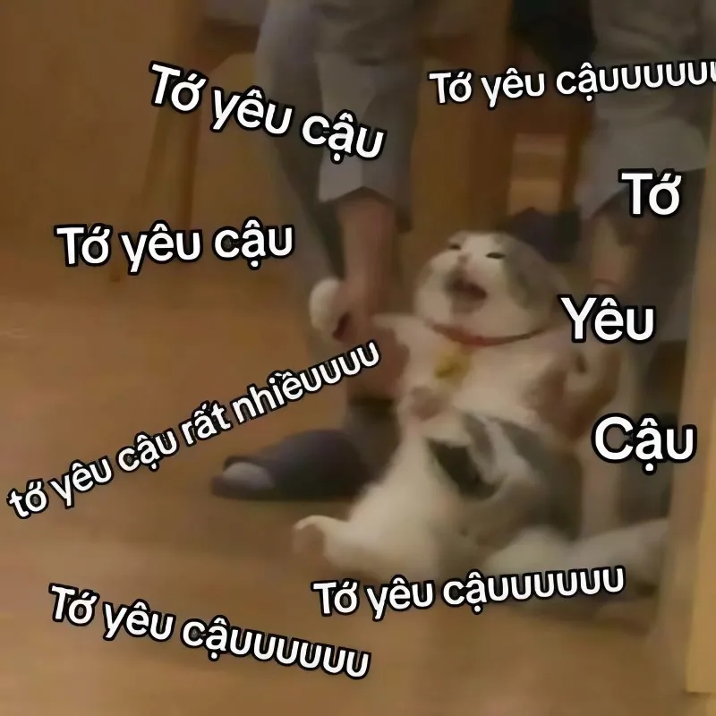 Ngồi im tình yêu sẽ đến meme này là thông điệp lãng mạn và đầy hy vọng Ngồi im tình yêu sẽ đến meme này là thông điệp lãng mạn và đầy hy vọng