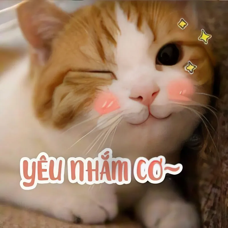 Meme ngồi im tình yêu sẽ đến này giúp bạn tìm thấy niềm tin trong tình yêu Meme ngồi im tình yêu sẽ đến này giúp bạn tìm thấy niềm tin trong tình yêu