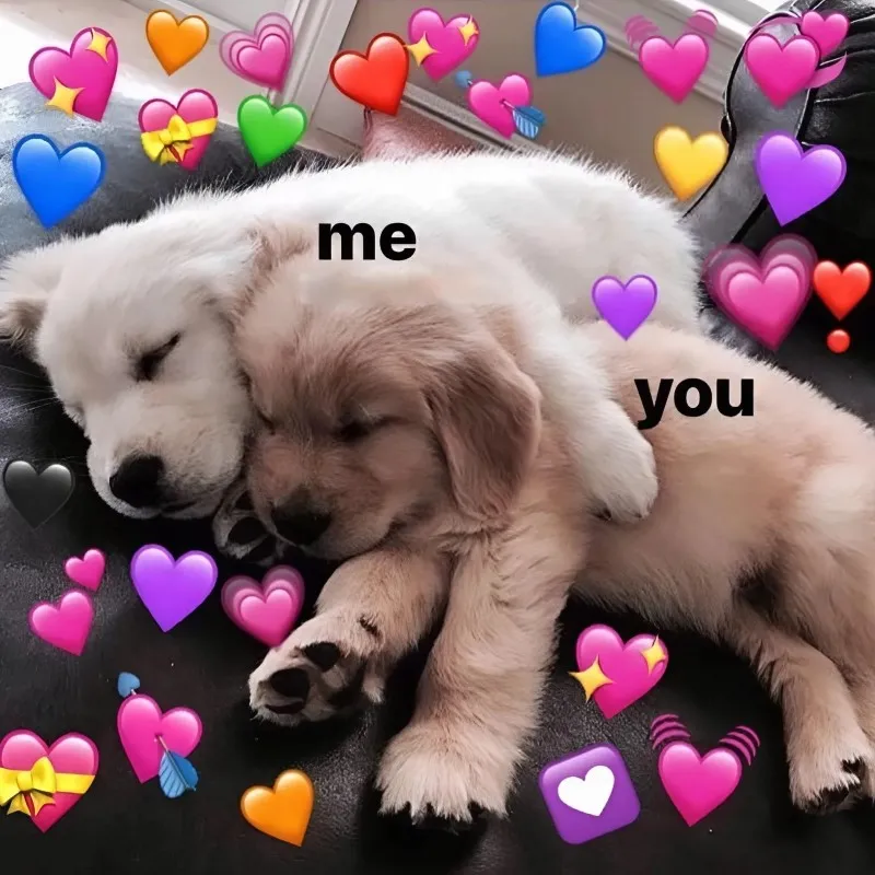 Meme nhớ người yêu này giúp bạn thể hiện nỗi nhớ nhung một cách ngọt ngào Meme nhớ người yêu này giúp bạn thể hiện nỗi nhớ nhung một cách ngọt ngào