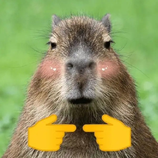 Buff capybara meme mang đến sự hài hước độc đáo Buff capybara meme mang đến sự hài hước độc đáo