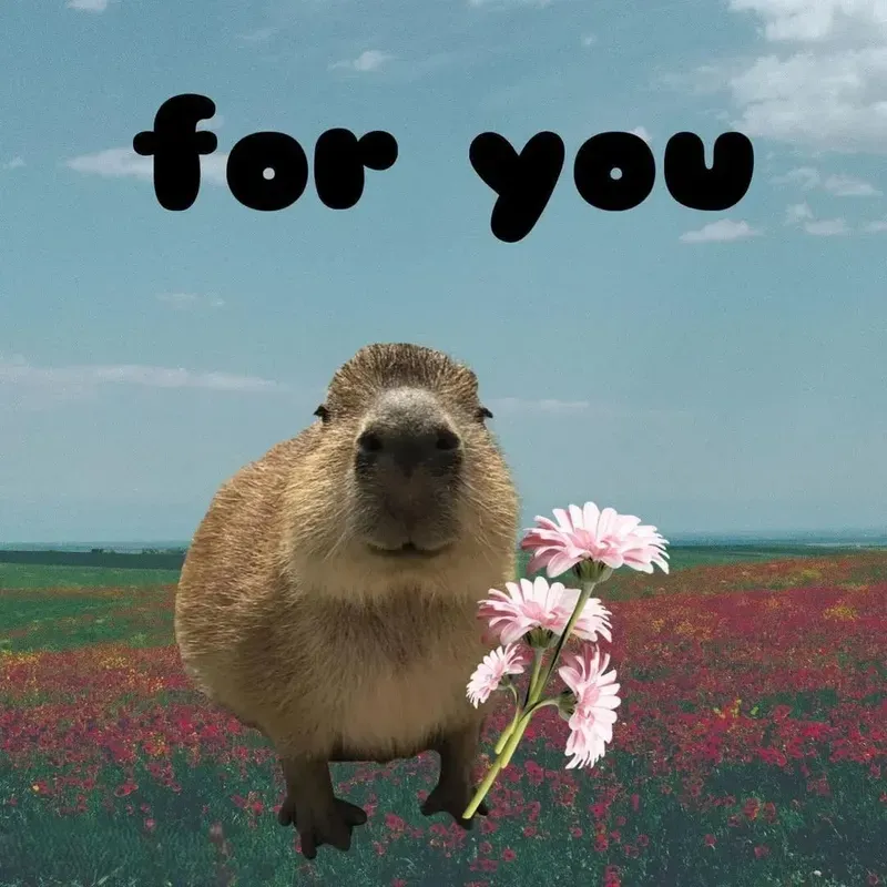 Capybara meme batman mang đến những tình huống hài hước độc đáo Capybara meme batman mang đến những tình huống hài hước độc đáo