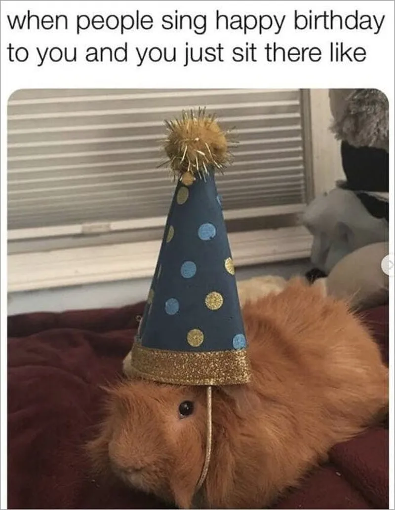 Ảnh meme happy birthday luôn tạo ra không khí vui tươi Ảnh meme happy birthday luôn tạo ra không khí vui tươi