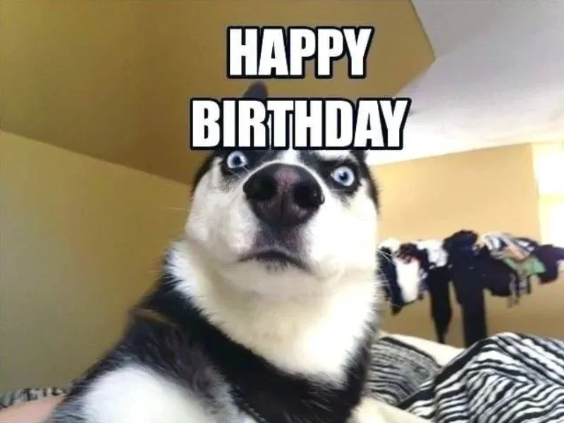 Happy birthday to you meme là cách chúc mừng sinh nhật độc đáo Happy birthday to you meme là cách chúc mừng sinh nhật độc đáo