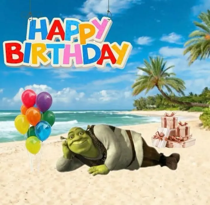 Meme sinh nhật vui vẻ mang đến những tiếng cười sảng khoái Meme sinh nhật vui vẻ mang đến những tiếng cười sảng khoái