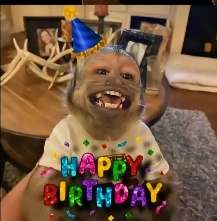 Funny happy birthday meme mang đến những tiếng cười sảng khoái Funny happy birthday meme mang đến những tiếng cười sảng khoái