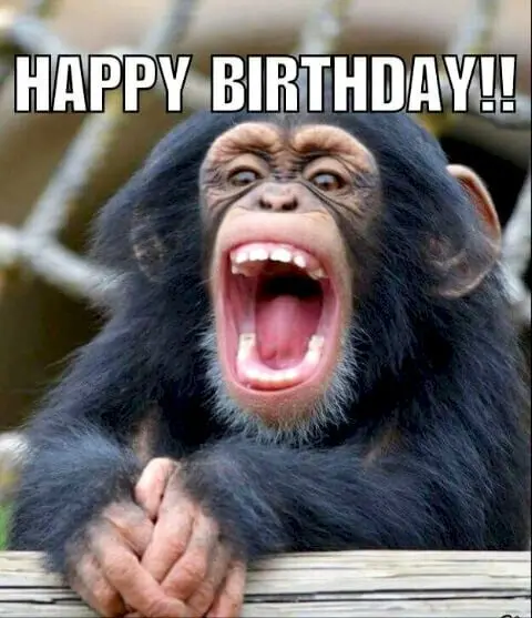 Happy birthday gif meme luôn tạo ra những khoảnh khắc vui vẻ Happy birthday gif meme luôn tạo ra những khoảnh khắc vui vẻ