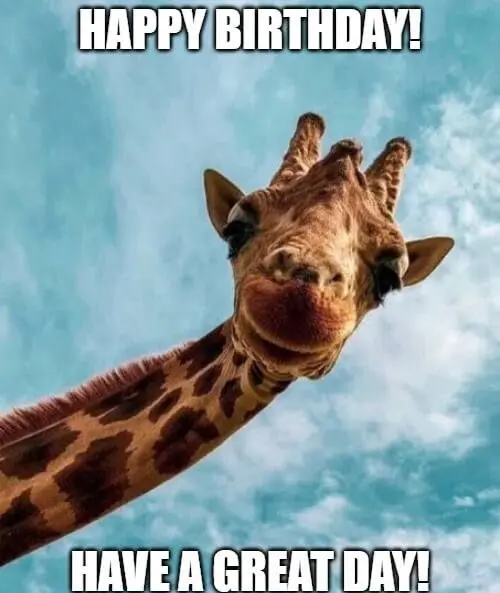 Happy birthday funny meme khiến ngày sinh nhật thêm phần thú vị Happy birthday funny meme khiến ngày sinh nhật thêm phần thú vị
