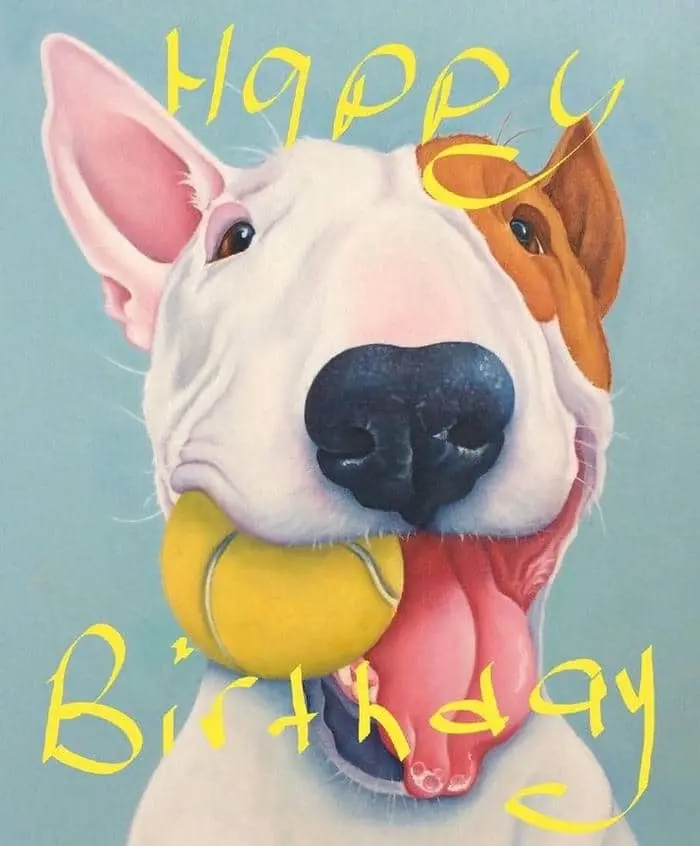 Ronaldo happy birthday meme mang đến sự hài hước cho người hâm mộ Ronaldo happy birthday meme mang đến sự hài hước cho người hâm mộ