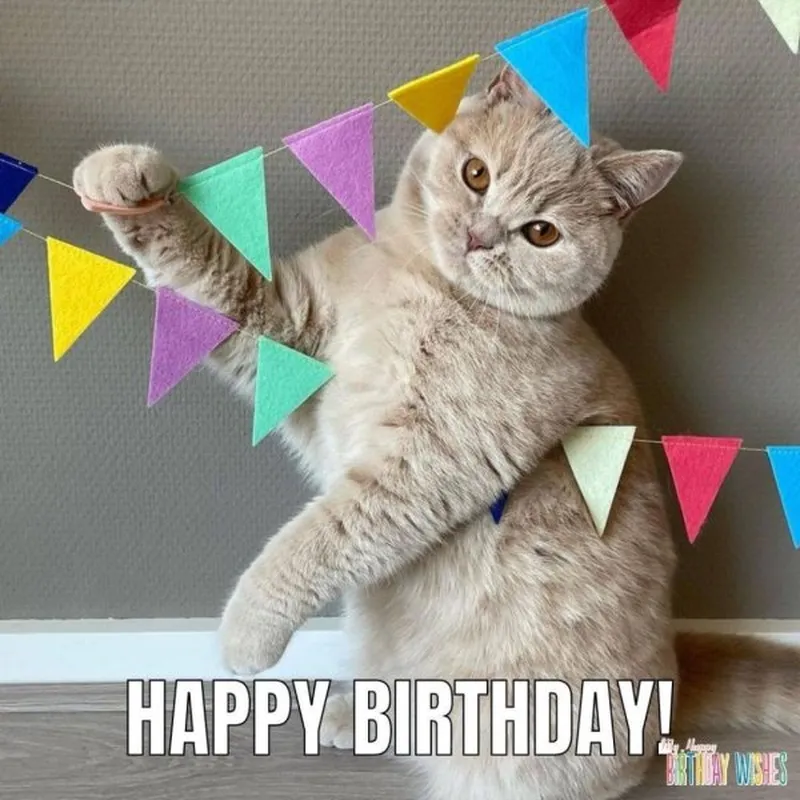 Meme happy birthday to me thể hiện sự tự yêu thương Meme happy birthday to me thể hiện sự tự yêu thương